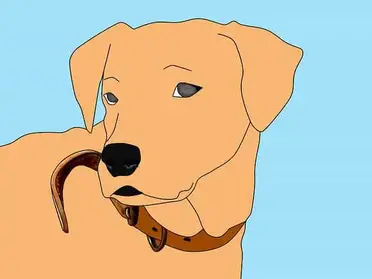 Do Golden Retrievers Have Separation Anxiety Training Buster