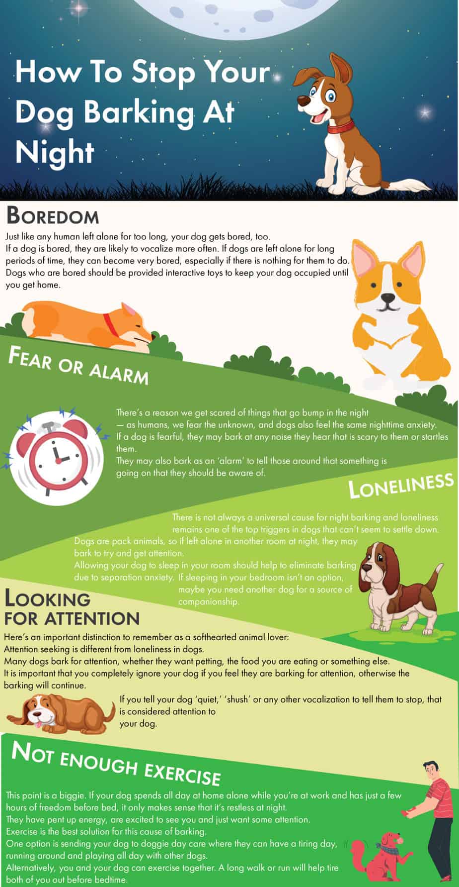 How To Stop Your Dog Barking At Night Training buster