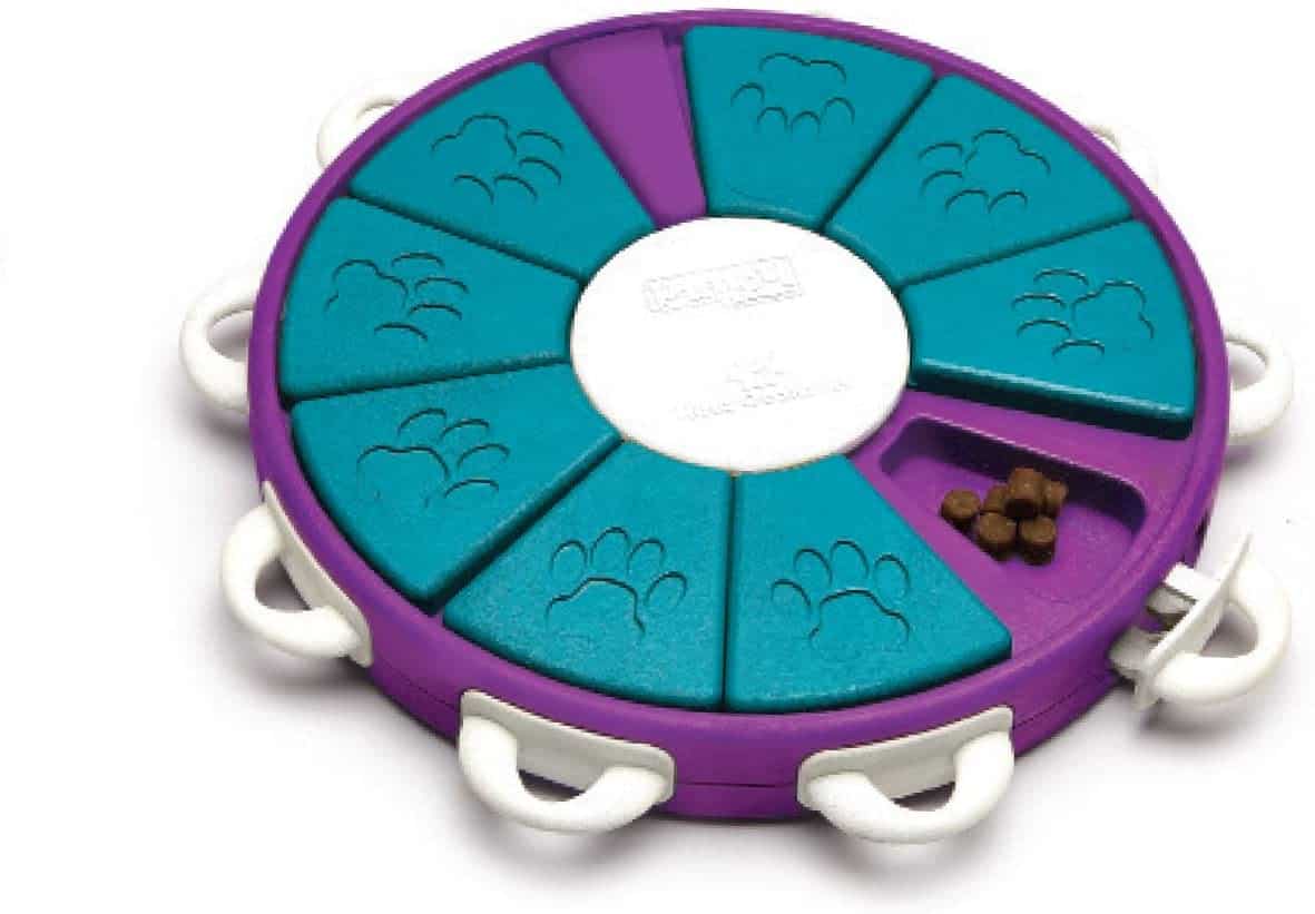 Ten Things To Do With Your Dog At Home Training buster