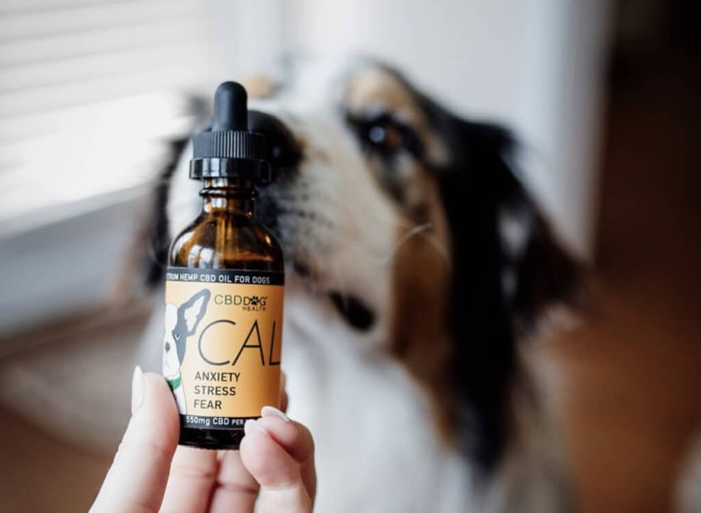 Will CBD oil make my dog high