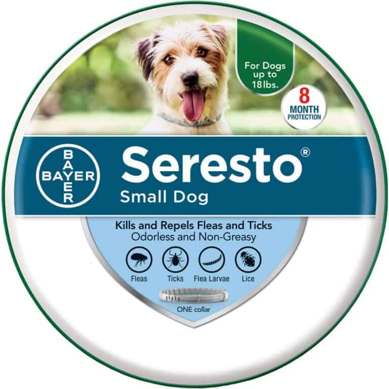 Best Flea Treatment For a Yorkie