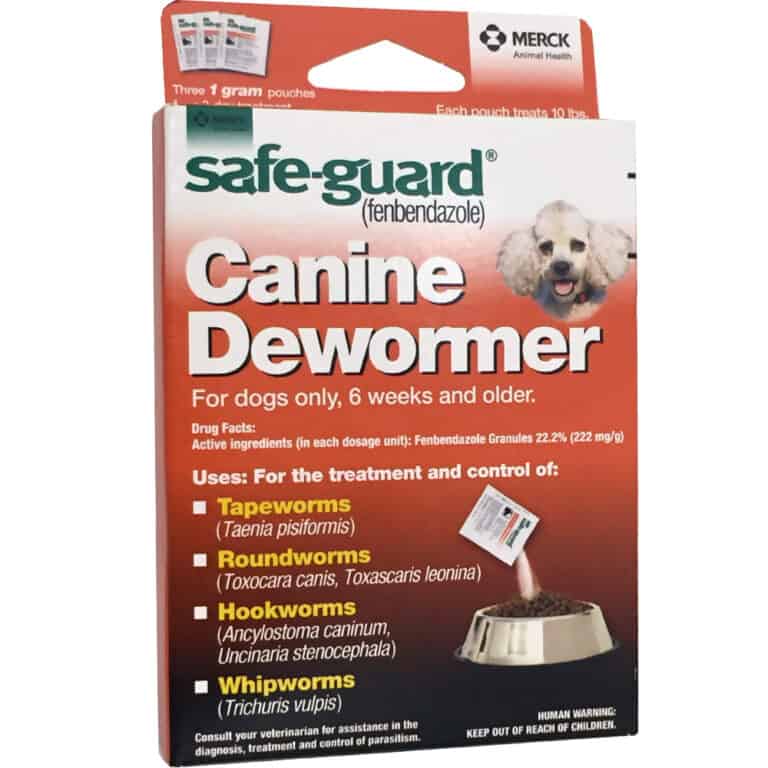 Best Dewormer Treatment for Yorkies Training buster