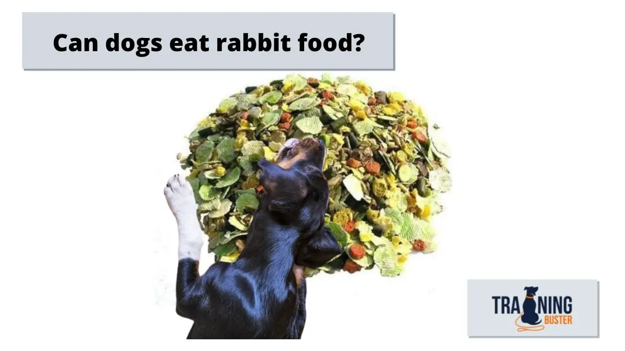 can dogs eat rabbit food