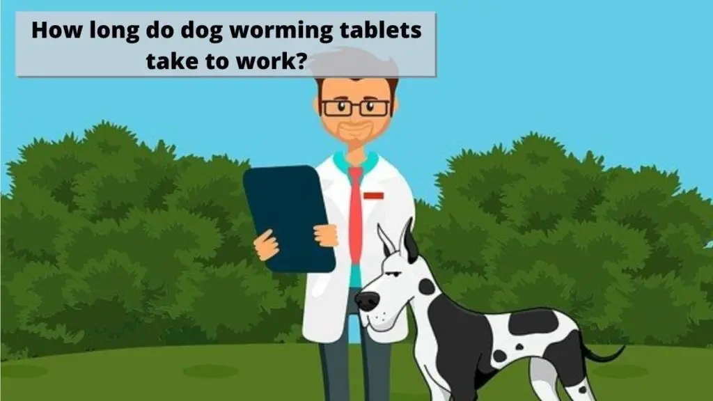 how-long-do-dog-worming-tablets-take-to-work-training-buster