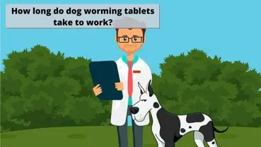 How Long Do Dog Worming Tablets Take To Work Training Buster